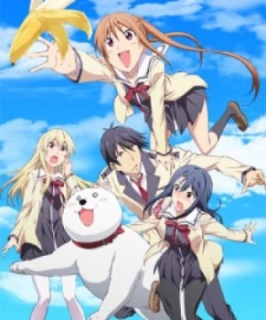 Aho Girl - AHO-GIRL, Ahogaru: Clueless Girl, Dummy Girl