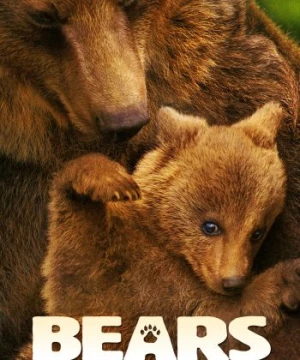 Bears - Bears