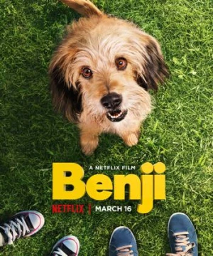 Benji - Benji