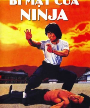 Bí Mật Của Ninja - Ninja Knight 2: Roaring Tiger