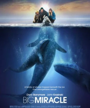 Big Miracle