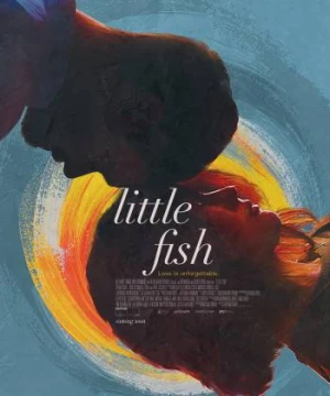 Cá nhỏ - Little Fish