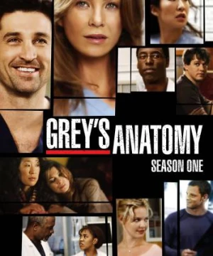 Ca Phẫu Thuật Của Grey (Phần 1) Grey's Anatomy (Season 1)