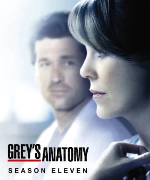 Ca Phẫu Thuật Của Grey (Phần 11) - Grey's Anatomy (Season 11)