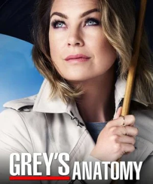 Ca Phẫu Thuật Của Grey (Phần 12) - Grey's Anatomy (Season 12)