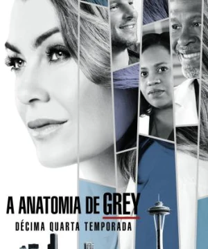 Ca Phẫu Thuật Của Grey (Phần 14) - Grey's Anatomy (Season 14)