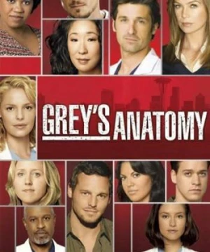 Ca Phẫu Thuật Của Grey (Phần 4) - Grey's Anatomy (Season 4)