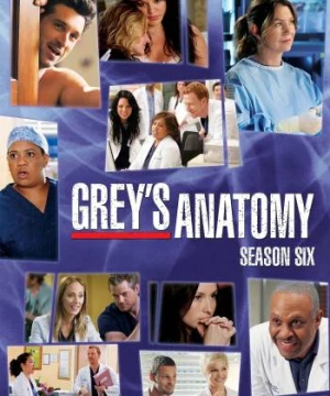 Ca Phẫu Thuật Của Grey (Phần 6) - Grey's Anatomy (Season 6)