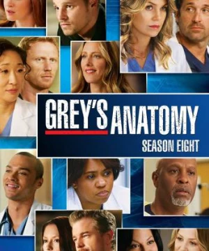 Ca Phẫu Thuật Của Grey (Phần 8) - Grey's Anatomy (Season 8)