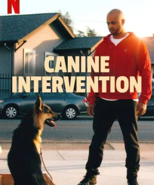 Cali K9: Trường huấn khuyển - Canine Intervention