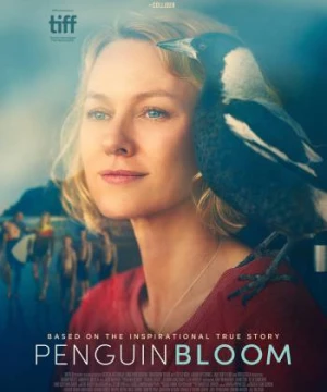 Cánh Cụt Nhà Bloom - Penguin Bloom