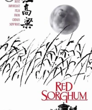 Cao Lương Đỏ - Red Sorghum