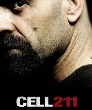 Cell 211 - Cell 211