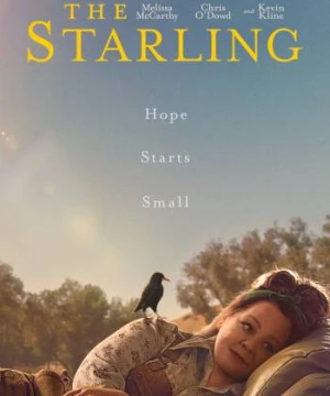 Chim Sáo - The Starling