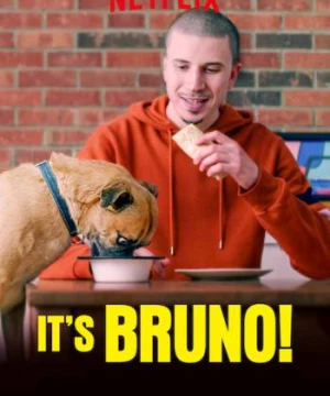 Chú chó Bruno - It's Bruno!