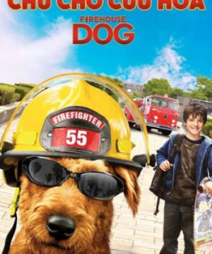 Chú chó cứu hỏa Firehouse Dog