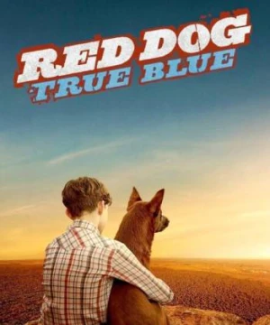 Chú Chó Trung Thành 2 - Red Dog: True Blue