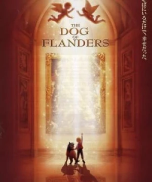 Chú Chó Xứ Flanders - The Dog Of Flanders