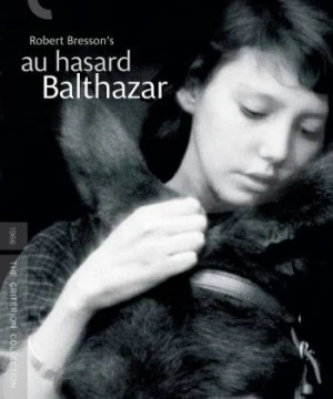 Chú Lừa Balthazar  - Au hasard Balthazar