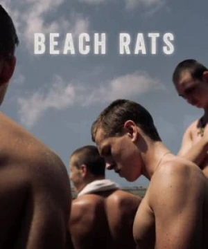 Chuột bãi biển - Beach Rats