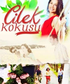 Cilek Kokusu - Strawberry Smell