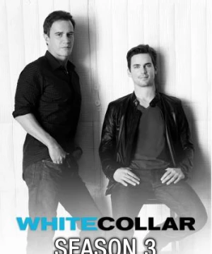 Cổ Cồn Trắng (Phần 3) - White Collar (Season 3)