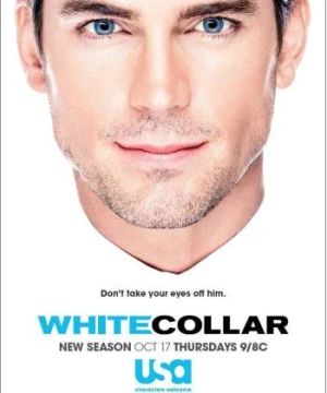 Cổ Cồn Trắng (Phần 5) - White Collar (Season 5)