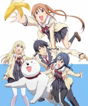 Cô Nàng Ngốc - Aho Girl - Aho Girl