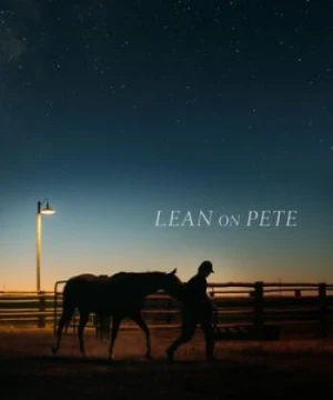 Con Ngựa Già - Lean on Pete