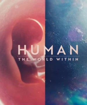 Con người: Thế giới bên trong cơ thể - Human: The World Within