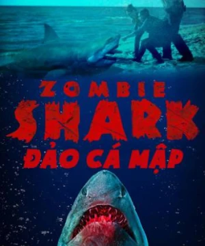 Đảo Cá Mập - Shark Island