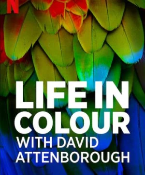 David Attenborough: Sự sống đầy màu sắc - Life in Colour with David Attenborough