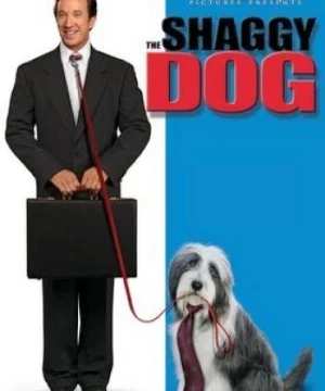 Điệp Vụ Chó Xù - The Shaggy Dog