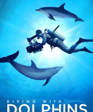 Diving with Dolphins - Diving with Dolphins