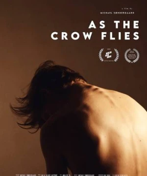 Đôi cánh tham vọng - As the Crow Flies