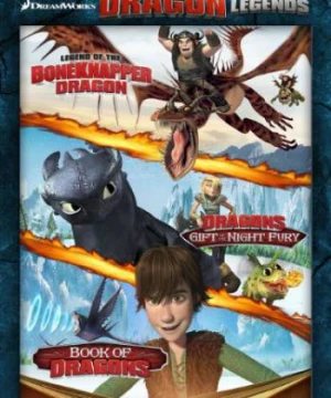 DreamWorks: Huyền thoại bí kíp luyện rồng - DreamWorks How to Train Your Dragon Legends