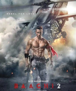 Giải Cứu Người Đẹp 2 - Baaghi 2