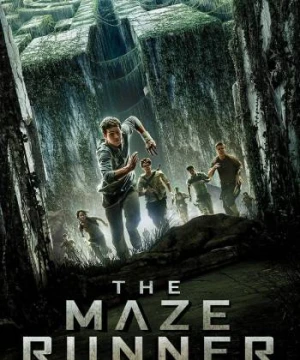 Giải Mã Mê Cung - The Maze Runner