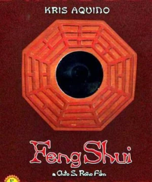 Gương phong thủy - Feng Shui