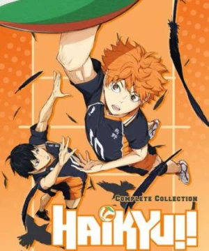 Haikyu - Chàng khổng lồ tí hon (Phần 1) - Haikyu!! (Season 1)