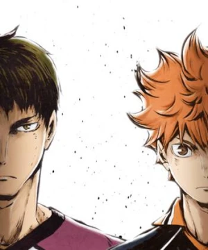 Haikyu - Chàng khổng lồ tí hon (Phần 3) - Haikyu!! (Season 3)