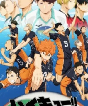 Haikyuu!! - Haikyu!!