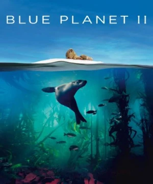 Hành Tinh Xanh II Blue Planet II