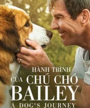 Hành Trình Của Chú Chó Bailey - A Dog's Journey