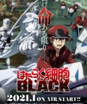 Hataraku Saibou Black - Cells at Work! CODE BLACK!