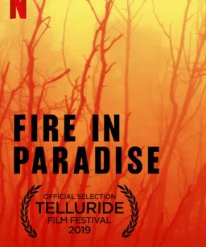 Hỏa hoạn tại Paradise - Fire in Paradise