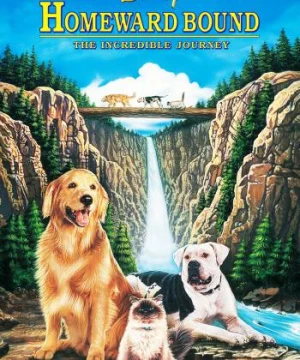 Homeward Bound: The Incredible Journey - Homeward Bound: The Incredible Journey