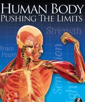 Human Body: Pushing the Limits - Human Body: Pushing the Limits