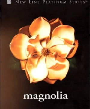 Hương Mộc Lan - Magnolia