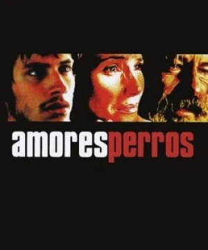 Kẻ Vô Đạo - Amores perros